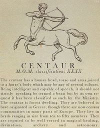 Centaur- Fantastic Beasts and Where to Find Them