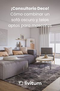 Nos siguen llegando consultas de decoración a través de nuestro Instagram. ¿Cómo? ¿Qué todavía no nos sigues? ¿A qué esperas? Toma nota, @livitum_es. Aquí, además de descubrir todo lo que podemos hacer por ti, conocer nuestros proyectos e inspirarte en tu decoración, resolvemos todas tus dudas sobre el diseño de interiores. Ahí van algunos ejemplos. #decoracion #consultoriodeco #ideasdecoracion #consejosdecoracion #sofasoscuros #sofasmascotas #decorarsalones #decorarsalonespequeños #sofasperros