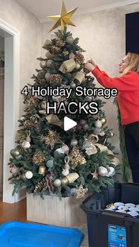 Michelle McRae on Instagram: "HOLIDAY STORAGE HACKS🎄

Cleaning up after Christmas is already so sad. This year, I tried hard to stay organized with @HartToolsUSA so I’m not left with a mess next year. 

With these 4 easy and affordable DIY holiday storage ideas and Hart’s storage system (on rollback at Walmart!), Christmas cleanup feels a lot less depressing. 

Comment HOLIDAY STORAGE for details and links sent to your DMs. 

#DoItWithHART #HARTpartner"