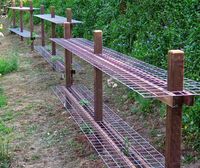 Fruit Trellis Sculptures - The Blissful Gardeners