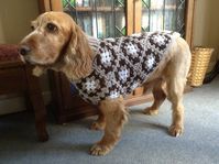 Jovi's Granny Square Dog Jumper - Etsy