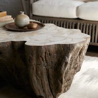 The Chloe Fossil Clam Lava Coffee Table from Palecek features an inlaid fossilized clam shell on a stonecast base made from a natural tree trunk mold finished in contemporary gray tones. *Clam is a natural material and may slightly vary in color and grain.