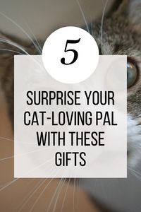 Find the ultimate gifts that'll make your cat-loving pals smile! Click this pin for all the details on the Best Gifts for Cat Owners and make their day extra special. #giftguide #catlover