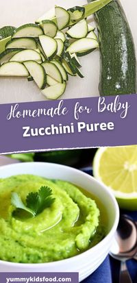 A great starting point for your baby’s solid food journey is zucchini puree. Zucchini is an excellent vegetable for babies because it is low in calories, high in fiber, and packed with essential vitamins and minerals.