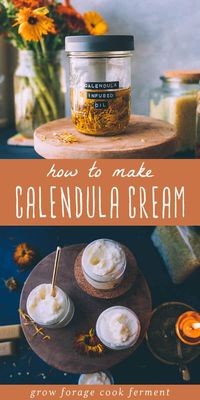 How to Make Calendula Cream & Calendula Cream Benefits - If you're looking for a DIY calendula cream recipe, you'll love this natural body butter made with calendula flower infused oil. It's the best homemade herbal skincare product! Herbalism for Beginners | DIY Herbal Remedies | DIY Herbal Skincare Recipes | Homemade Body Butter Non Greasy