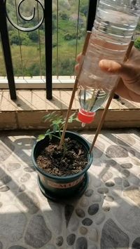 Drop ❤️ if you want more posts like this Make your own �✨eco-friendly plant watering tools ✨ from plastic bottles! #seedconnect #gardening #gardeningtips