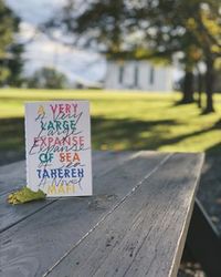 Do you get excited or nervous when an author you like writes in other genres? I personally love to see what else they can do! I read A Very Large Expanse Of Sea by @taherehmafi in December and I really enjoyed it! I loved her Shatter Me series and I was excited to see her delve into realistic YA fiction! The book is set a year after 9/11 and features a young Muslim girl named Shirin who has Had It with the racist comments, people trying to hurt her and people stereotyping her. Shirin is an ...