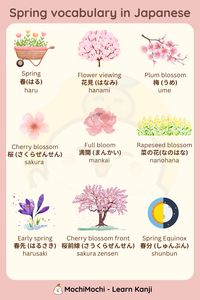 Do you love spring? Explore this spring vocabulary list to share about this beautiful season with your friends!!! If you want to learn more about Kanji and vocabulary, access this website: https://kanji.mochidemy.com/learn-japanese  #srpinginjapanese #seasoninjapanese #mochimochilearnjapanese #basicjapanese #LearnJapanese #Vocabulary #MochiMochi