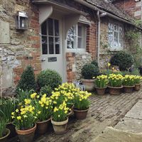 Spring Pots (In 10 Easy Steps) – CHARLOTTE-ANNE FIDLER