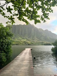 hawaii, oahu, island life, beautiful view