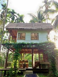 🌴 BEACH BUNGALOWS on TROPICAL DREAMS on (Pinterest & Instagram) #tropicaldreamsonpinterest #surfbungalow #surfshack #surfhouse #beach #beachhome #beachhouse #beachbungalow #beachbungalows #beachlife #saltlife #bungalow #islandlife #islandhome #beachcasa #surferlifestyle #beachlifestyle #saltyliving #saltylife #tinyhouse #livesalty #saltliving #livingsalt #dailysalt #daily_salt #coastalliving #surfboard #beachhousedecor #oceanhome #oceanhouse #surfing #surfer