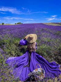 Lavender field, Lavender fields UK