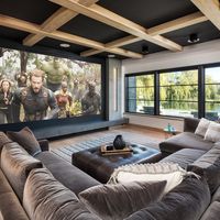 75 Home Theater Ideas You'll Love - August, 2023 | Houzz