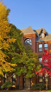 Brown university aesthetic campus ivy league