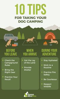 Helpful tips for camping with the dogs.