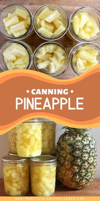 Pineapple is naturally high in both sugar and acid, making it perfect for canning at home. But why on earth would you can pineapple? Most of us are not exactly growing it in the backyard, and it’s easy enough to buy at the store. One word…taste.Home canned pineapple tastes amazing, and you’ll never want to use watery, flavorless store-bought cans again.