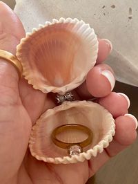 Proposal seashell ring box made from a gorgeous Florida Gulf Coast seashells are stunning! These gorgeous handmade seashell ring holders are perfect for beach proposals. They are embellished with silver or gold rhinestones that serve as a hinge and are finished with staggered half pearls for added delight. They have minimal bling in order to be the perfect surprise proposal ring holder. It will include a clear cord to keep the seashell closed. Simply place ring inside, close and place clear cord