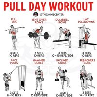 Epic Pull Day Workouts: The Ultimate Guide to Transforming Your Upper Body (And the 13 Best Exercises To Do So)