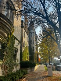 #uchicago #universityofchicago #chicago #study #academia #fall