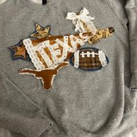 College pennant sweatshirt