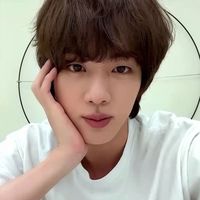 bts jin selca