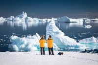 An Explorer’s Guide For How To Visit South Georgia Island