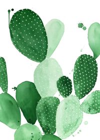 Green Paddle Cactus II Art Print, cactus art, cactus poster, cactus trend, cacti trend, urban jungle trend, botanic art, botanic trend, plant trend, modern wall art, cactus poster