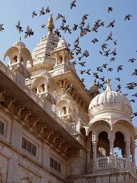 Blue sky and birds