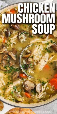 Have a warm and comforting bowl of chicken mushroom soup just like grandma used to make. This soup recipe is a one-pot meal that is so comforting. Made with chicken breast, rice, aromatics, and mushrooms, it is so easy to toss together! #chickenmushroomsoup #mushroomchickensoup #chickenmushroomsouprecipe #spendwithpennies