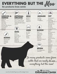 Everything But the...Animal By-Product Resources | Farm Credit of the Virginias