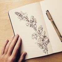 Snapdragons #instaart #instaartist #flower #sketchbook #sketch #art #drawing #moleskine #snapdragon #botanical #рисунок #набросок #цветы… | Instagram