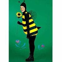 Complete Bumblebee Adult Halloween Costume