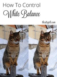 Find out more on how to control white balance in your photographs!