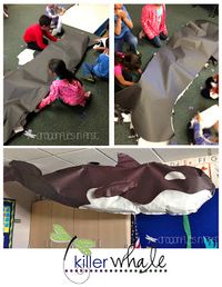 I want to see this life size whale Mrs. M Dragonflies in First: Killer Whales and Oceans of Fun