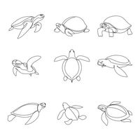 729 Turtle Drawing Illustrations & Clip Art - iStock