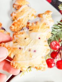 These individual blueberry hand pies are an easy Christmas dessert. Adorable mini blueberry pies with a rich golden crust and a juicy blueberry filling are perfect for serving as a Christmas dessert or even as a treat on Christmas morning. Fresh pie crust and juicy blueberries come together for an individual serving of yum.👇👇https://www.southerncrushathome.com/hand-pies-an-easy-christmas-dessert/