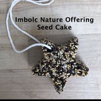 Make a seed cake ornament as an offering to nature this Imbolc. Traditionally, Imbolc offerings are meant to protect and bless the home.