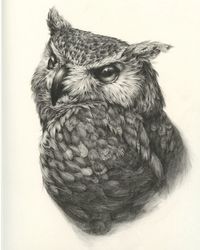 Beautiful and Realistic #Sketches of #Birds by Vanessa Foley #art #inspiration