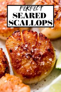 Island-Style Seared Scallops with Mango Salsa & Coconut Rice: sweet & juicy jumbo sea scallops are seared to gloriously crusty, golden brown perfection, & served on a bed of simple coconut rice with a light & bright tropical mango salsa. Made in 35 minutes or less, this healthy scallops recipe is the perfect tropical vacation for any night of the week! #searedscallops #healthyscallopsrecipe #easyscallopsrecipe #mangosalsa #coconutrice #healthyseafood #easydinnerrecipe