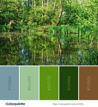 51 Bayou Color Palette ideas in 2021 | iColorpalette