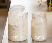 This Sourdough Starter is pretty darn easy to do by using only two ingredients. Yes, you can make a starter and have amazing baked goods!