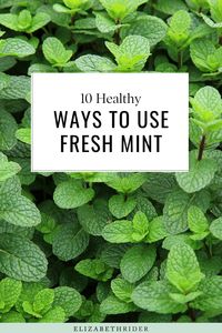 Today I'm sharing 10 Healthy Ways To Use Fresh Mint & its benefits, so you can make the most of your harvest. Health Benefits and healthy recipes with fresh mint. Elizabeth Rider