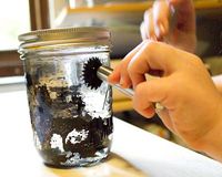 Magnetism Unit Study: Ferrofluid