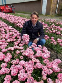 Visiting our growers in The Netherlands. Checking out the newest tulip varieties. One of them is this tulip "Sugar Crystal".