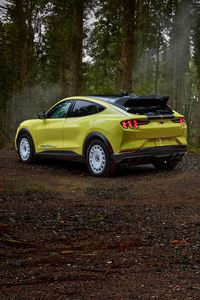 Ford Mustang Mach-E Rally 2024 Motor: 2x Electric 99 kWh Power: 358 kW / 486 hp Torque: 880 Nm / 649 lb-ft 0-60 mph: 3.5 seconds Top Speed: 200 kph / 124 mph