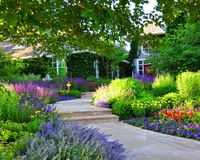 Front Yard Renovation - Traditional - Landscape - Denver - by Designscapes Colorado Inc.