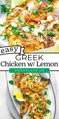 This perfectly seasoned Greek Chicken is lemony, garlicky, and altogether fuss-free! You are going to love how easy it is to make.