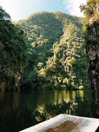 Découvrez les merveilles de la Malaisie lors d’un voyage unique et captivant. Partez à la découverte des îles paradisiaques de Perhentian et plongez dans les eaux cristallines pour explorer la vie marine riche et colorée. Vous visiterez également Kuala Lumpur, où vous découvrirez les joyaux architecturaux et culturels de la ville. Ensuite, partez pour les Cameron Highlands et savourez une tasse de thé tout en admirant les magnifiques paysages. Vous aurez également la chance de voir la fleur Rafflesia, la plus grande fleur du monde, et d’en apprendre davantage sur la culture et les traditions des indigènes orang aslis. Ce voyage en Malaisie vous laissera des souvenirs inoubliables de cette destination exotique et fascinante.