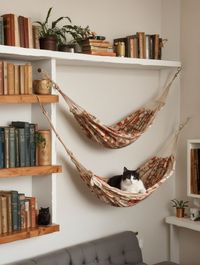 27 DIY Cat Hammock Ideas – The DIY Desire