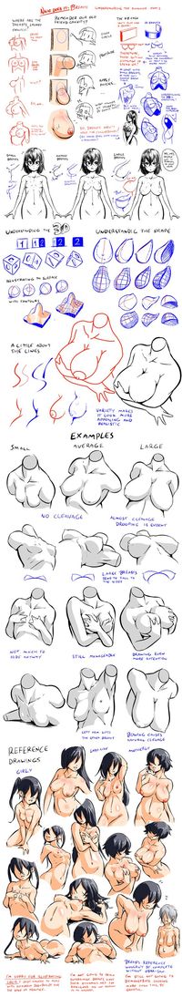 Character Anatomy | Breast